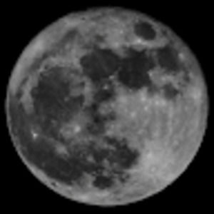 Meet your Posher, Will